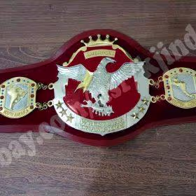 NWA Americas Wrestling Heavyweight Champion