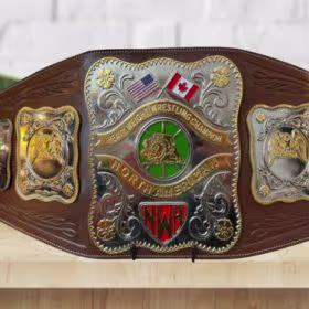 NWA Stampede North American Heavyweight Championship Belt