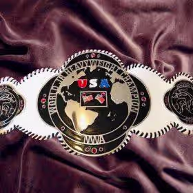NWA World Jr Heavyweight Champion Belt Rebels Reggie