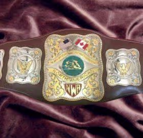 Get the Stampede Wrestling NWA North American Heavyweight Belt. Premium brass and leather, perfect for collectors, cosplay, and customize belts.