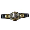 WWE NXT North American Championship Title Belt