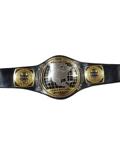 WWE NXT North American Championship Title Belt