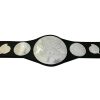 WWE Tag Team Wrestling Championship Black Title Belt