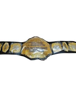 TNA Heavyweight Wrestling Championship Title Belt