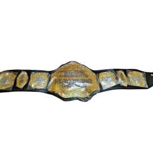 TNA Heavyweight Wrestling Championship Title Belt