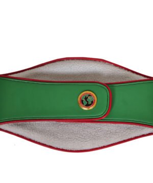 Alternative view of UBO Title Boxing Championship Belt