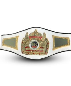 GBC BOXING Title Belt