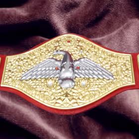 WWWF Pedro Morales Heavyweight Wrestling Champion Belt