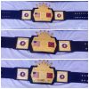 NWA Southeastern Tag Champions Belt Jerry Stubbs and Arn Anderson Wrestling