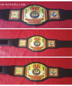 WKF WORLD KICKBOXING Championship Belt