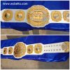 The IWGP Intercontinental New Japan Pro-Wrestling Heavyweight Champion belt MVP