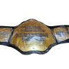 TNA Heavyweight Wrestling Championship Title Belt