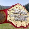 TNA World Heavyweight Wrestling Championship Belt Impact Champion Moose Rich Swa