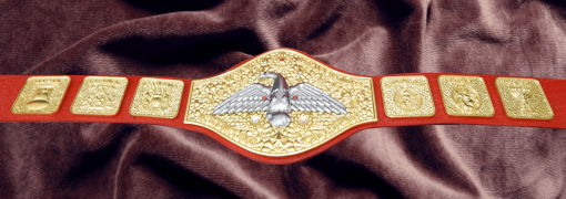 WWWF Pedro Morales Heavyweight Wrestling Champion Belt Puerto Rico Championship