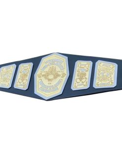 NWA Television Mid Atlantic Wrestling Championship Belt