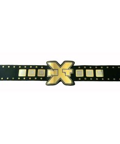 NXT WRESTLING CHAMPIONSHIP BELT REPLICA