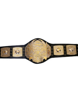TNA WORLD HEAVYWEIGHT WRESTLING CHAMPIONSHIP BELT