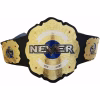 IWGP Open Weight Tag Team Belt
