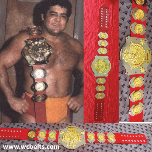 1979 Intercontinental championship belt