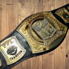 Fantacy Football Championship belt