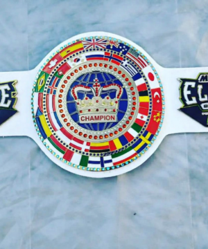 MMA Elite Series Custom Championship Belt | Premium Title