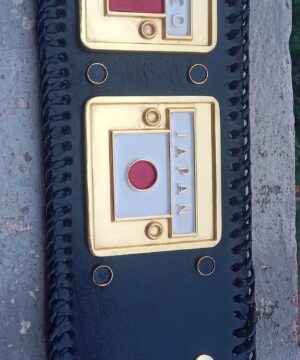 NWA Worlds Heavyweight Championship left side